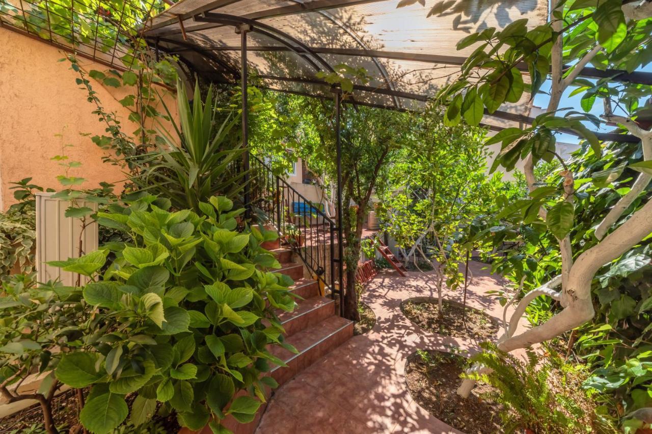 Petrovac Apartments Pod Lozom With Seaview חדר תמונה